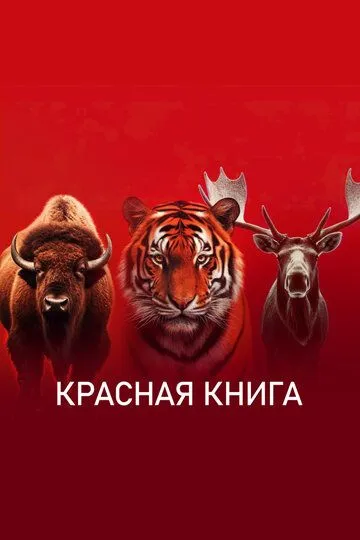 Красная книга (2022) смотреть онлайн